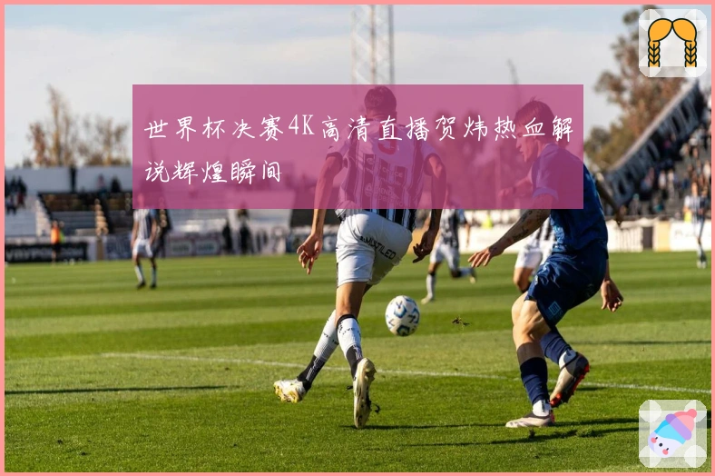 世界杯决赛4K高清直播贺炜热血解说辉煌瞬间