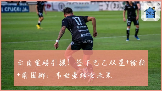 云南重磅引援！签下巴乙双星+徐新+前国脚，韦世豪转会未果