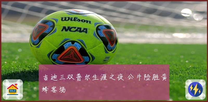 吉迪三双普尔生涯之夜 公牛险胜黄蜂客场